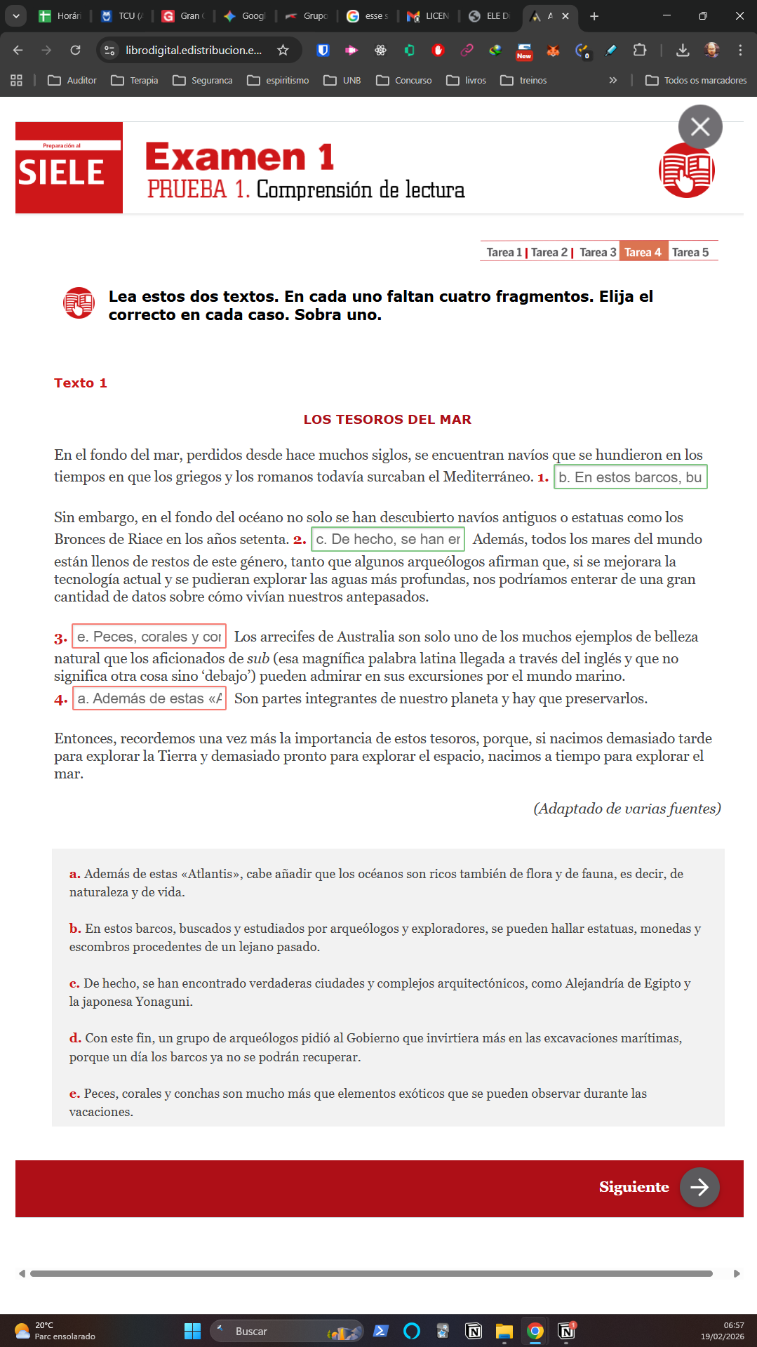 siele-simulado-1-01.png600
